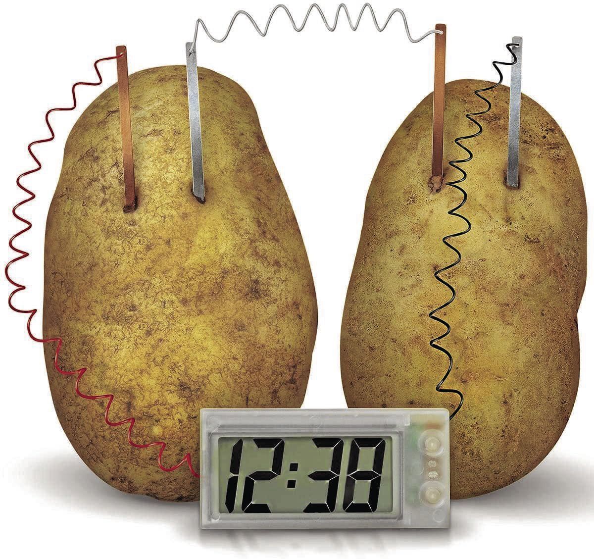 _PotatoClock_CMYK.jpg